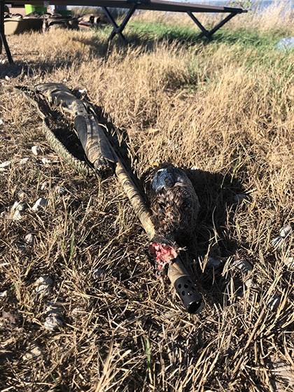 My friends and I decided to go pick our birds so we were spit up and Kaden and Kellen saw this teal come in but couldn’t take a shot because I was in the way. So they got my attention just in time so I could get a shot on this bird that was no more than 15 yards out and my patternmaster did not disappoint. Already knew it was a great product but after this it really has made me even more excited to get to shoot with a patternmaster!