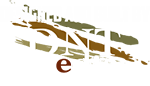 DNT Media, Inc