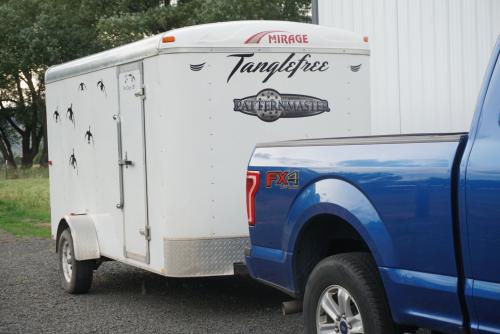 Trailer Decal